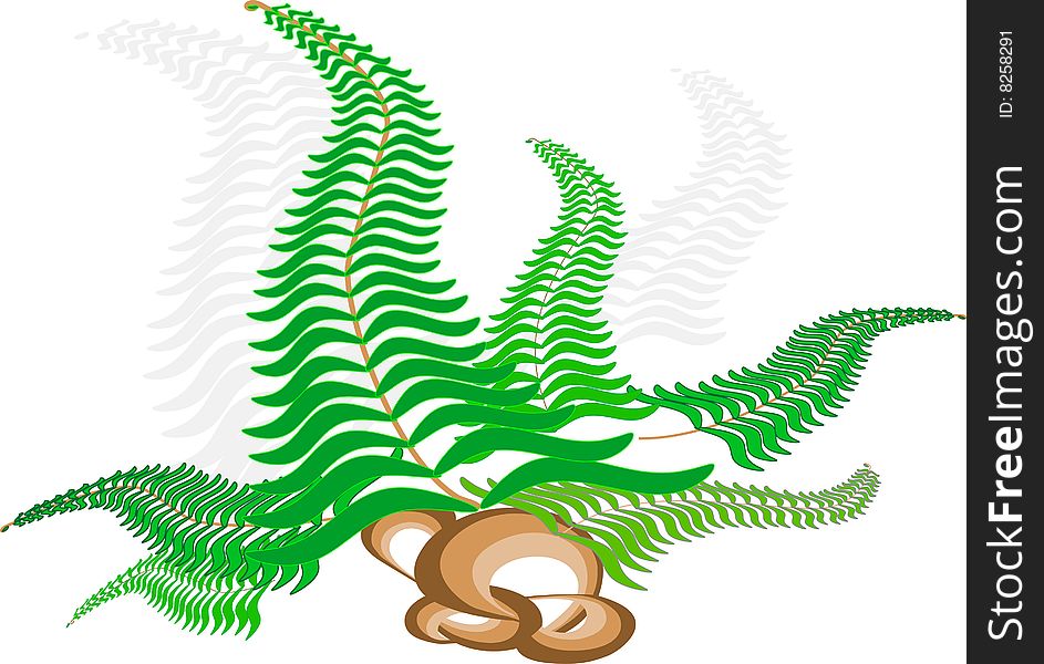 Fern growing out of smooth stones.  Background. Vector illustration. Fern growing out of smooth stones.  Background. Vector illustration.