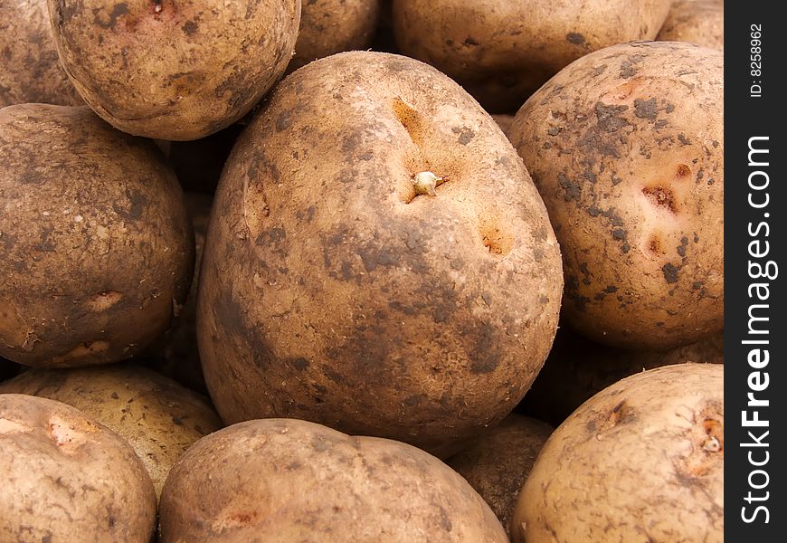 Abstract background from potato tubers