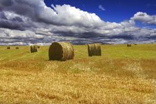 Haystacks On Yellow Field Royalty Free Stock Photos Haystacks On Yellow Field Royalty Free Stock Photos