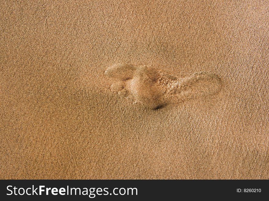 Foot trace on  the beach. Foot trace on  the beach