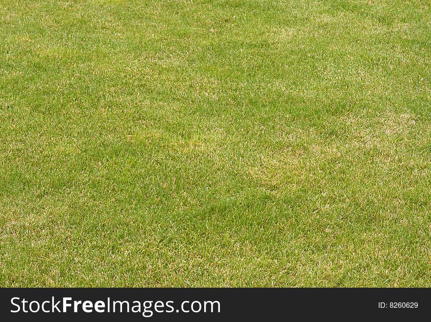 Canted green grass field in perspective