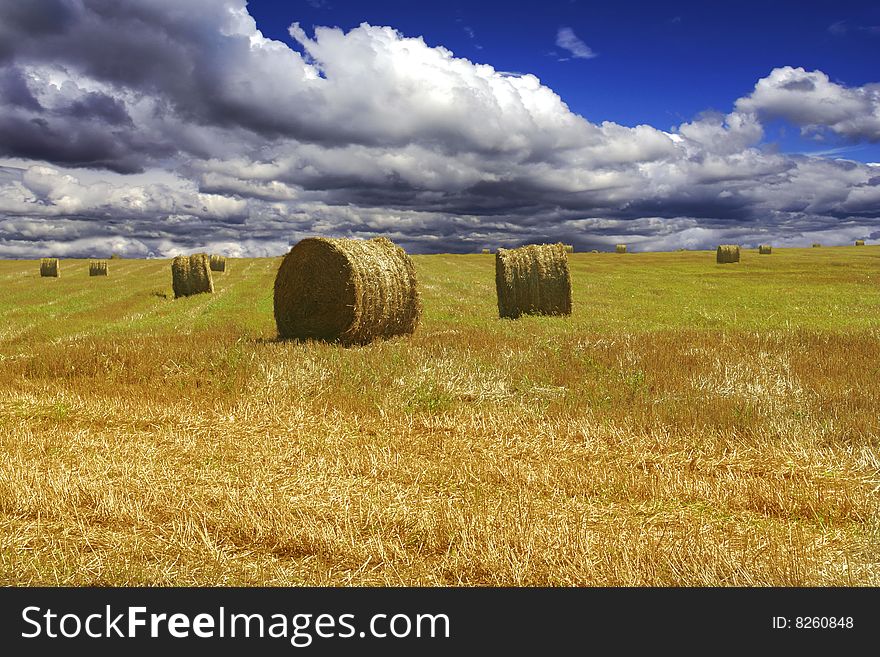 Haystacks On Yellow Field
