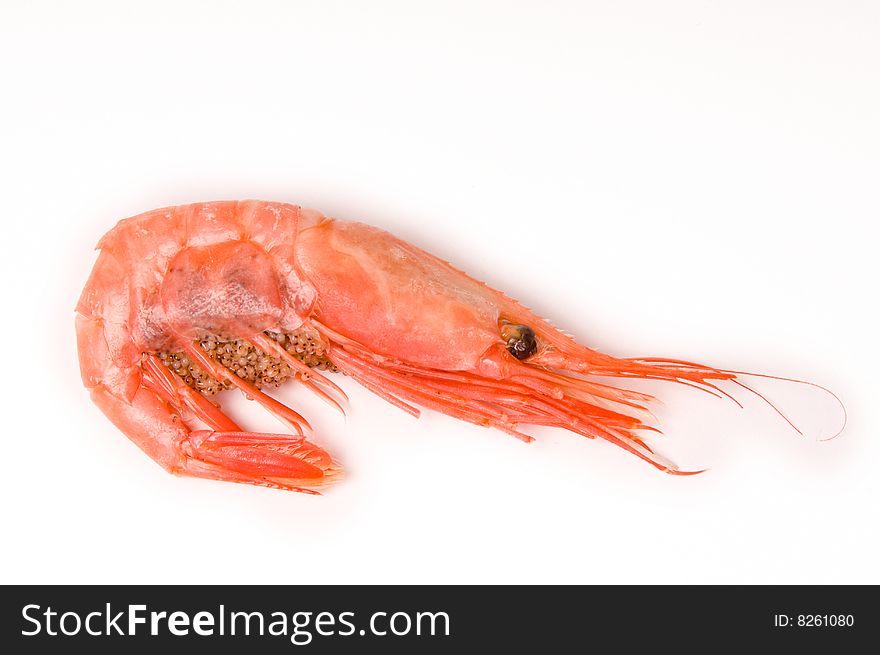 Prepared shrimp on white background
