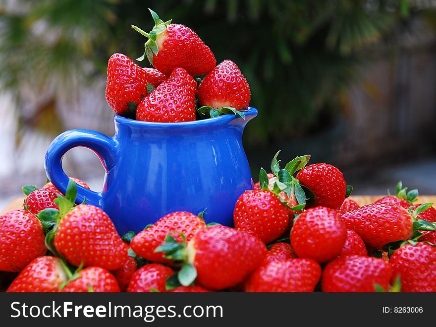 Strawberry in a blue cup buckets