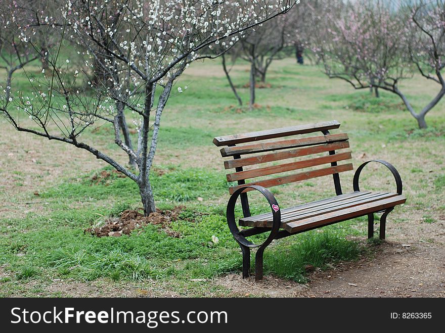 a bench in a park