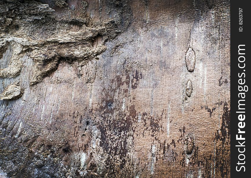 Beautiful Old Wooden Texture / background