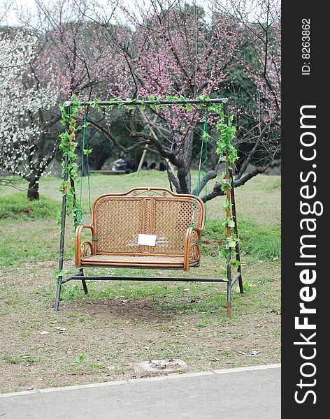 A gliderï¼ˆswingsï¼‰ in a plum park. A gliderï¼ˆswingsï¼‰ in a plum park