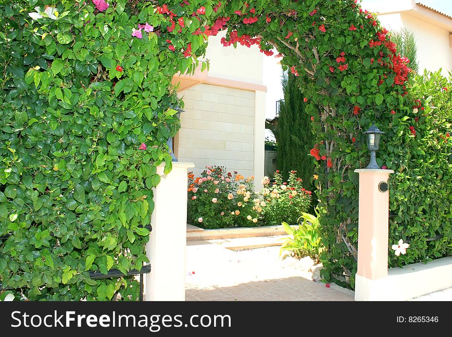 Red and pink flowers arch at the house.