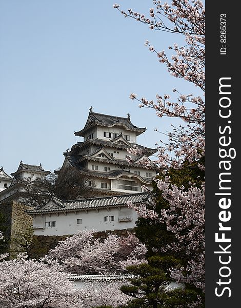 Castle among cherry blossoms