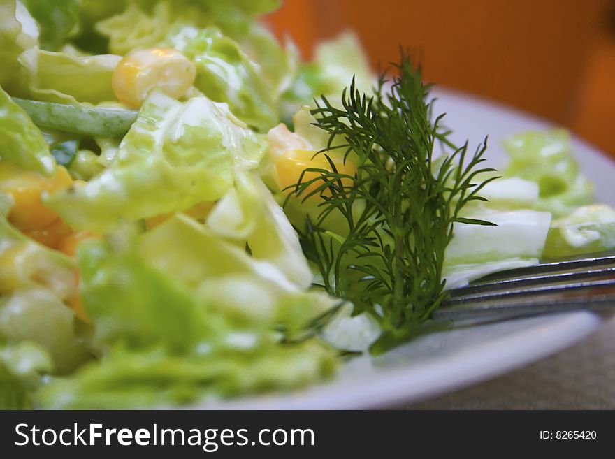 Fresh healthy green salad lettuce