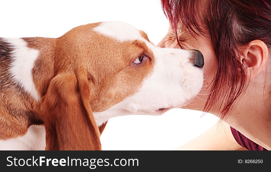 Cute beagle puppy and woman on a white background. Cute beagle puppy and woman on a white background