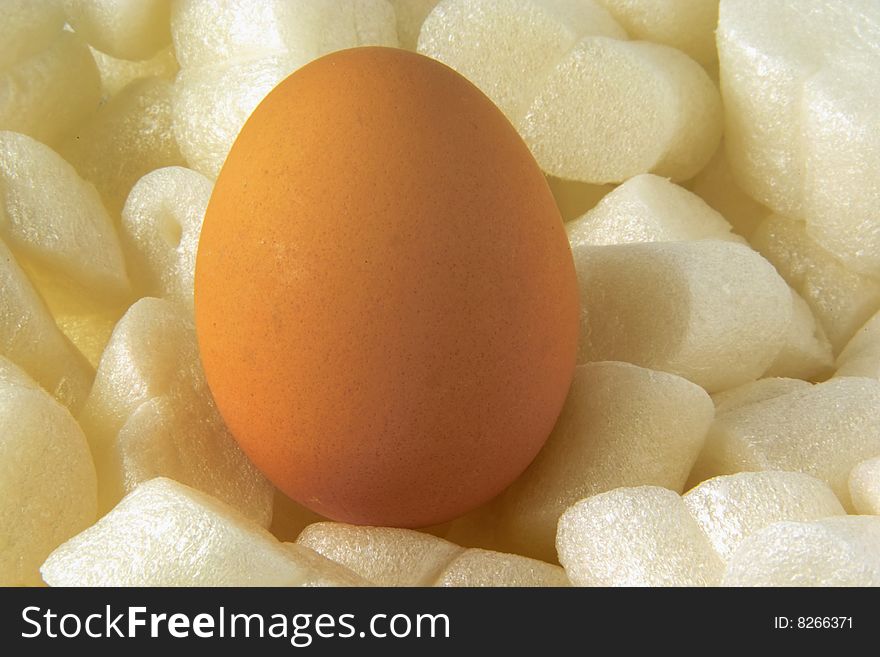 Single Egg sheltered by Pieces of Foam