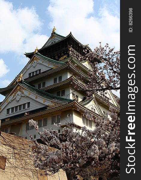 Castle Among Cherry Blossoms