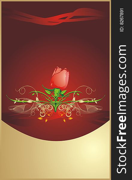 Red rose. Floral background for wrapping. Vector illustration