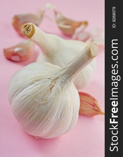 Two white garlic on pink back ground