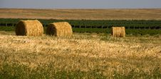 Hay Bales Stock Images Hay Bales Stock Images