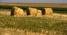 Hay Bales Stock Images Hay Bales Stock Images