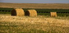 Hay Bales Royalty Free Stock Image Hay Bales Royalty Free Stock Image