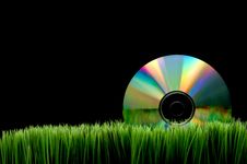 Compact Disk On Green Grass Royalty Free Stock Image