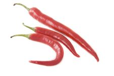 Ripe Chili Pepper Stock Images