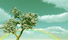 Blossoming Royalty Free Stock Photo Blossoming Royalty Free Stock Photo