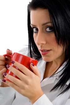 Female Doctor Holding Mug On White Background Stock Photography