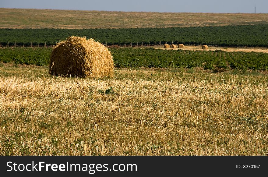 Hay bale on a field on a sunny day