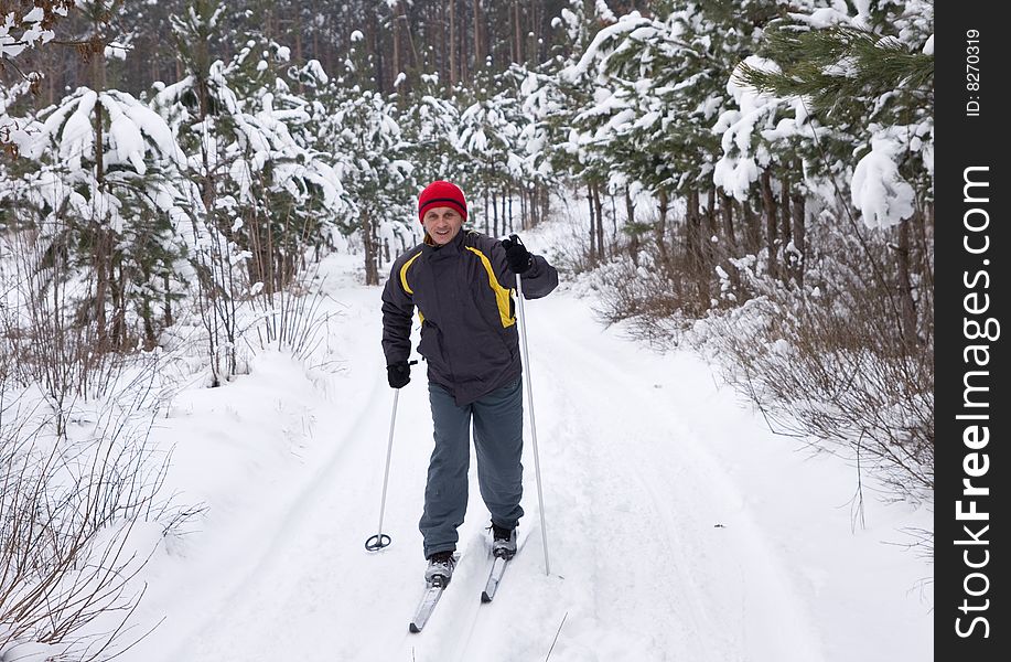 Men skiing in the winter forest. Men skiing in the winter forest