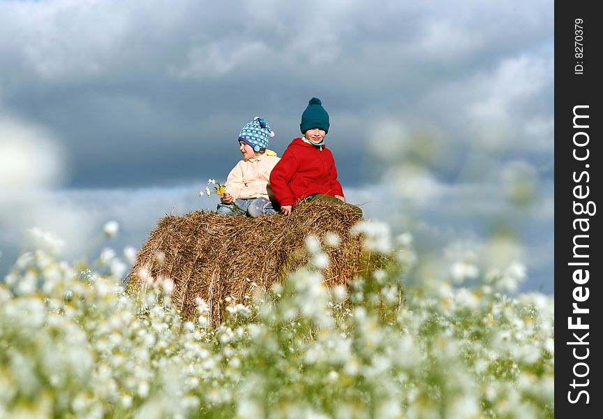 Couple children sitting on large hay bale, sister and brother on field with chamomile. Couple children sitting on large hay bale, sister and brother on field with chamomile