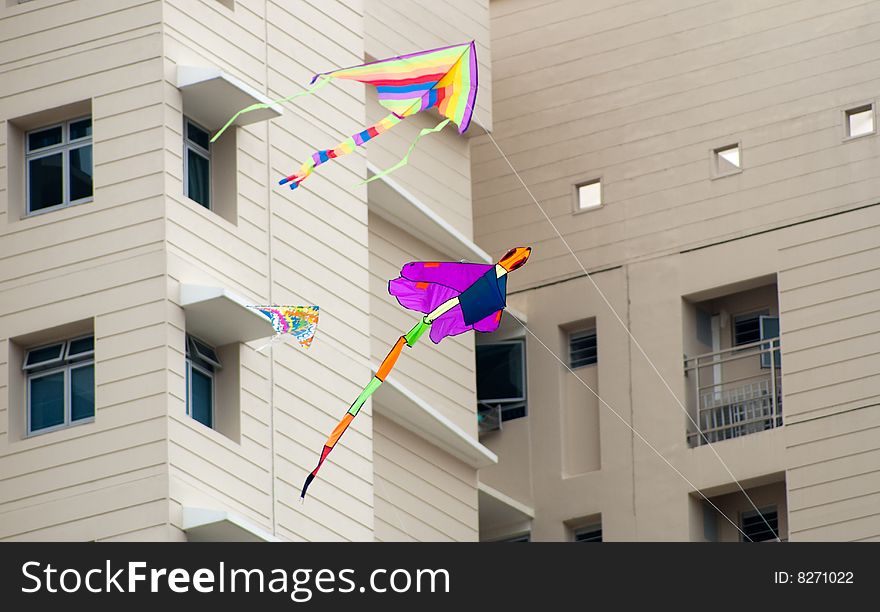 Dragonfly Kite flying in the residential area. Dragonfly Kite flying in the residential area