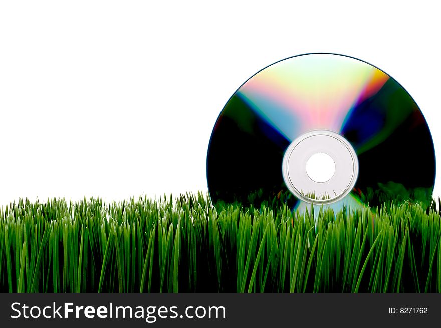 Compact computer data disk on green grass with a white background. Compact computer data disk on green grass with a white background