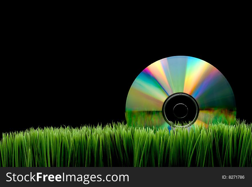 Compact computer data disk on green grass with a black background. Compact computer data disk on green grass with a black background