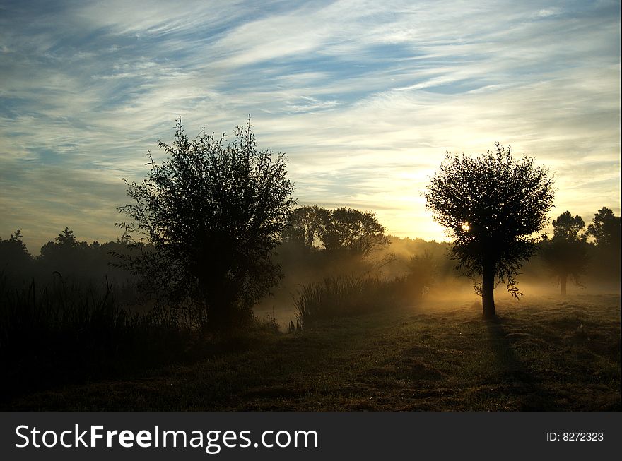 Landscape in early foggy morning. Landscape in early foggy morning