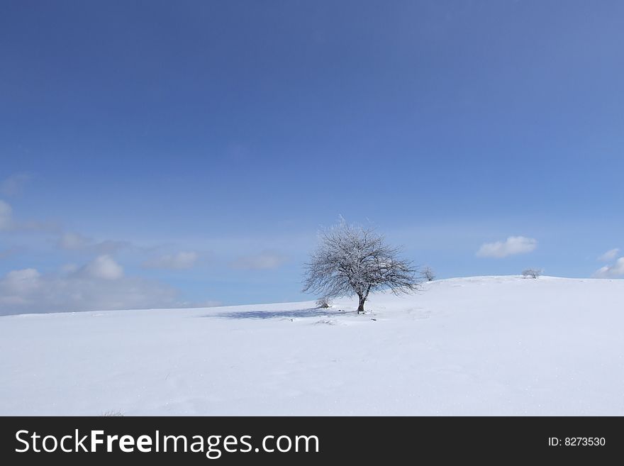 Beautifull mountain Tara, one of the beautifull places in Serbia.