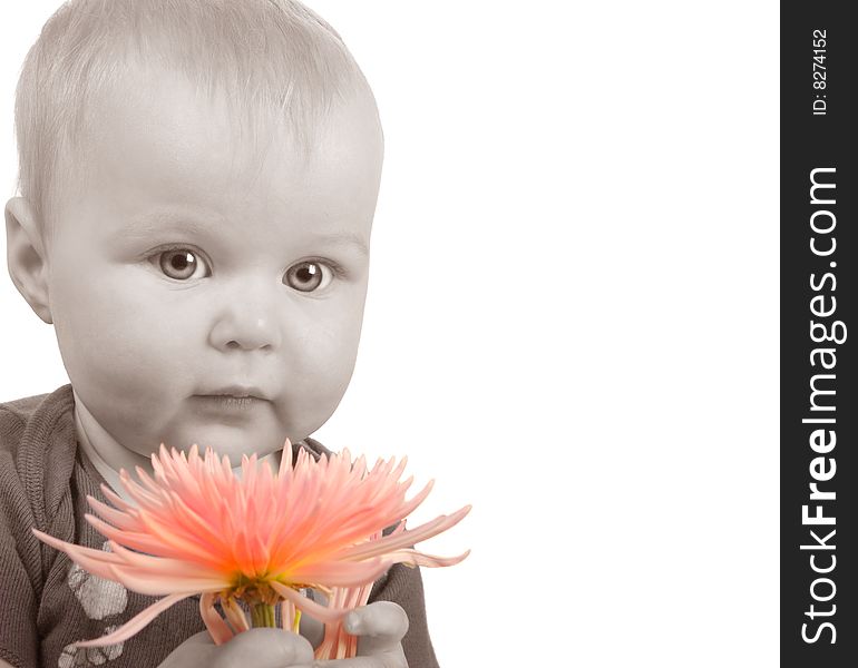 Beautiful Portrait Of a newborn girl Holding a Flower. Beautiful Portrait Of a newborn girl Holding a Flower