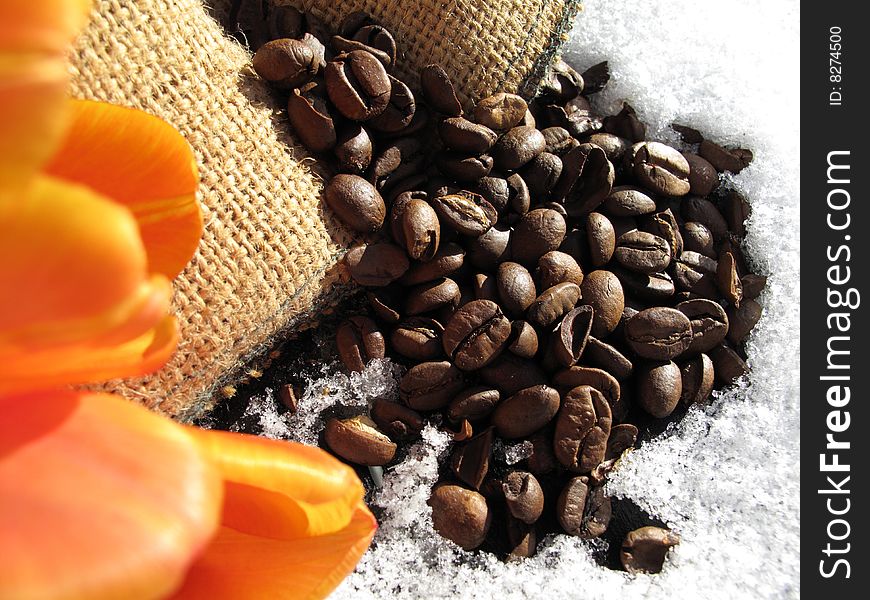 Coffee Beans And Tulips