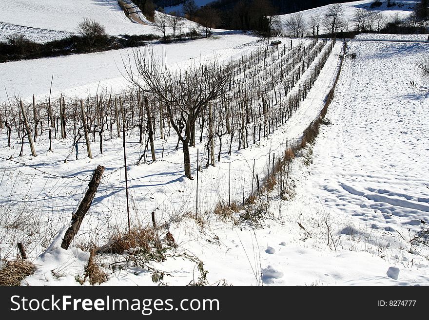 Mountain winter scene