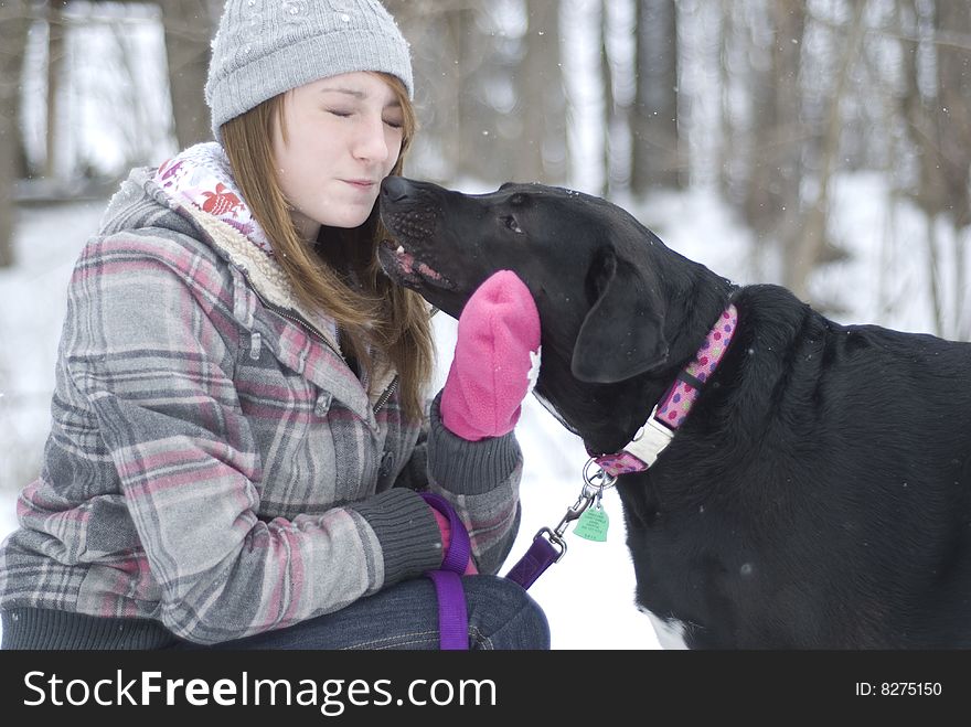 black lab dog giving kisses to a teen girl in the snow. black lab dog giving kisses to a teen girl in the snow