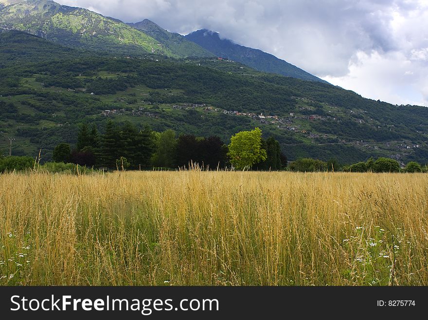 Panorama of the countryside with fields and trees. Panorama of the countryside with fields and trees