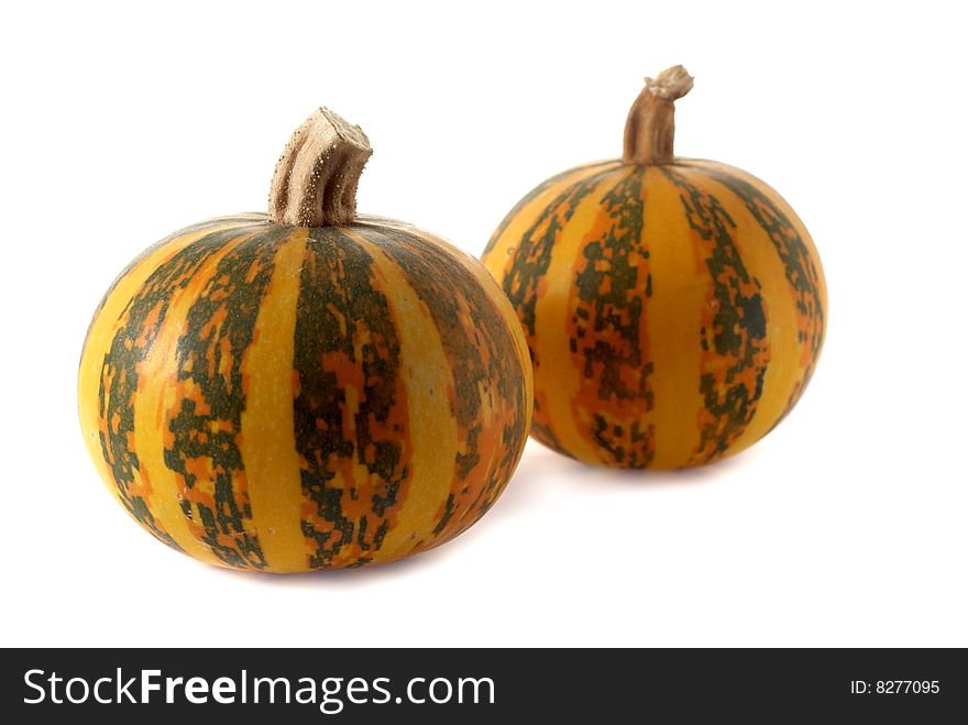 Pumpkins Isolated