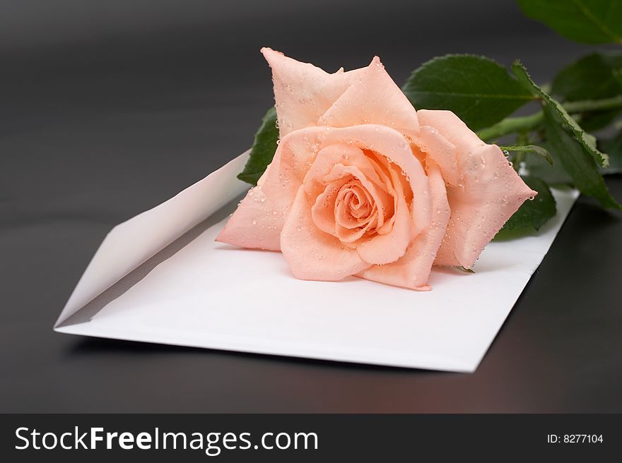 Rose  and envelopes  on a black background