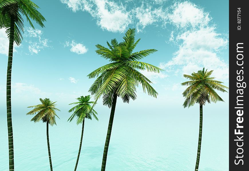 Beautiful summer seascape with palms. Beautiful summer seascape with palms