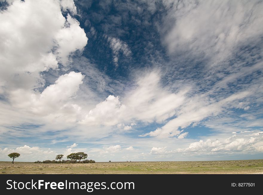 Cloudscape over grasslands with isolated trees, Namibia, Africa