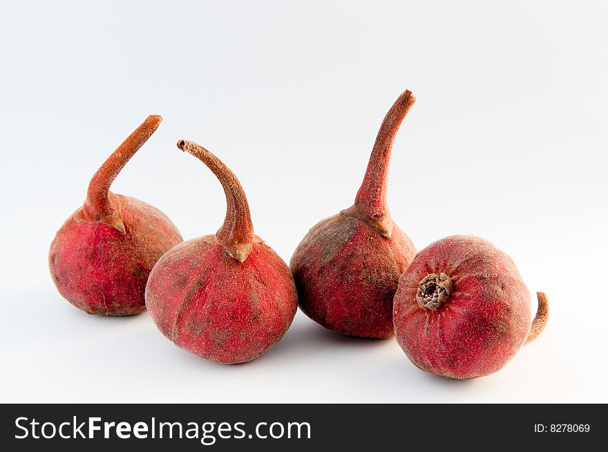 Still of a row of four fresh figs on white background. Still of a row of four fresh figs on white background