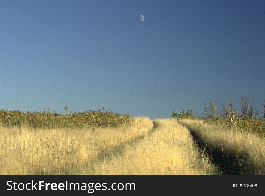 A crude road runs through a grassy field under a half moon. A crude road runs through a grassy field under a half moon