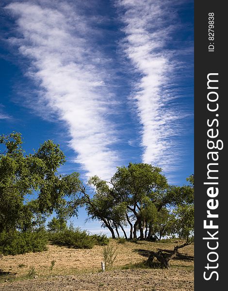 Green trees, sky and clouds in autumn park. Green trees, sky and clouds in autumn park