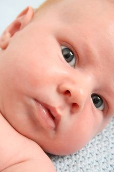 170 6 Month Old Baby Boy Free Stock Photos Stockfreeimages