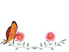 Butterfly And Flower Stock Images