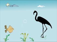 Flamingo And Fish Royalty Free Stock Photos Flamingo And Fish Royalty Free Stock Photos
