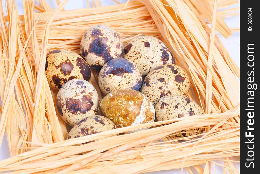 Few spotted eggs lie on straw